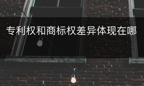 专利权和商标权差异体现在哪