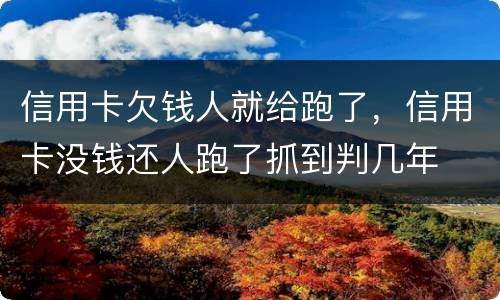 信用卡欠钱人就给跑了，信用卡没钱还人跑了抓到判几年