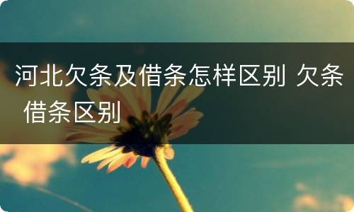 河北欠条及借条怎样区别 欠条 借条区别