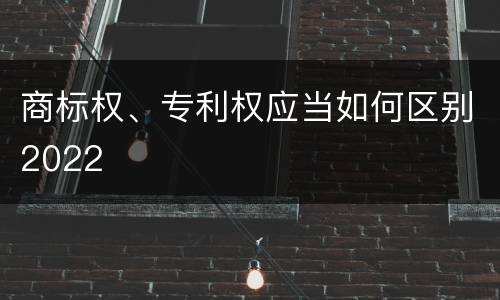 商标权、专利权应当如何区别2022