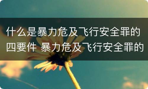 什么是暴力危及飞行安全罪的四要件 暴力危及飞行安全罪的客体