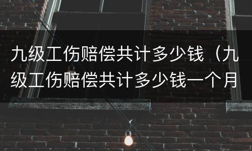 九级工伤赔偿共计多少钱（九级工伤赔偿共计多少钱一个月）