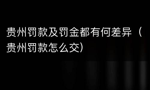 贵州罚款及罚金都有何差异（贵州罚款怎么交）