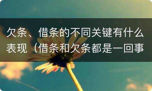 欠条、借条的不同关键有什么表现（借条和欠条都是一回事）