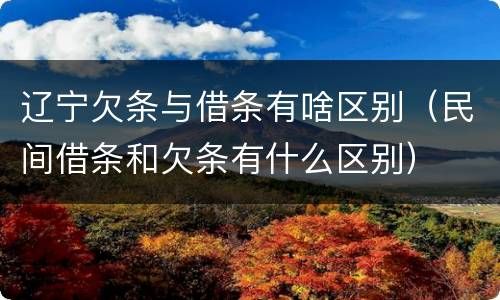 辽宁欠条与借条有啥区别（民间借条和欠条有什么区别）