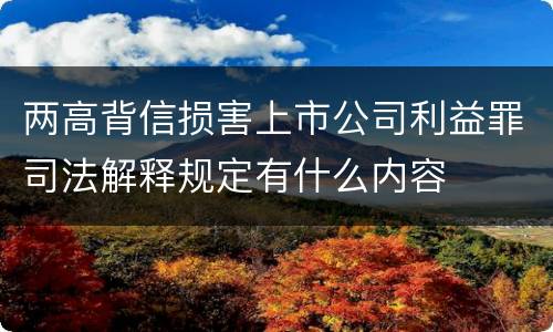 两高背信损害上市公司利益罪司法解释规定有什么内容