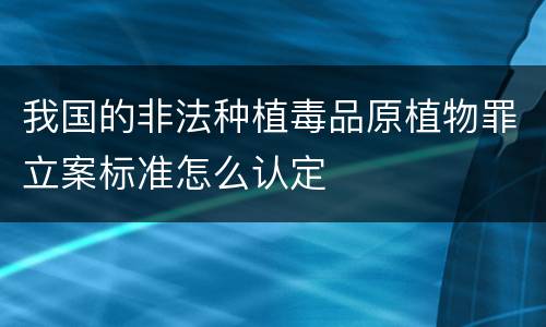 我国的非法种植毒品原植物罪立案标准怎么认定