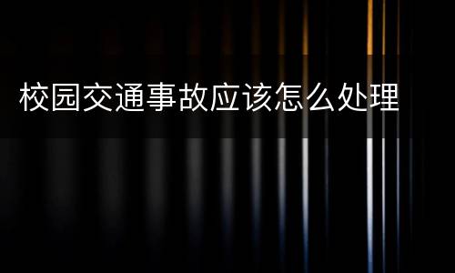 校园交通事故应该怎么处理