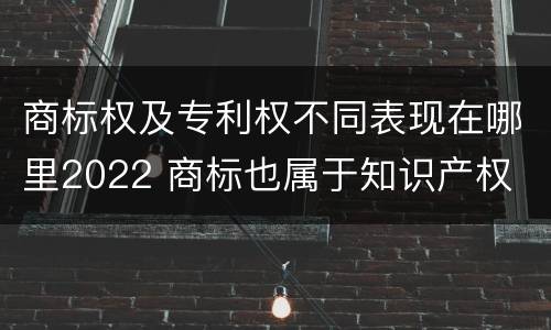 商标权及专利权不同表现在哪里2022 商标也属于知识产权
