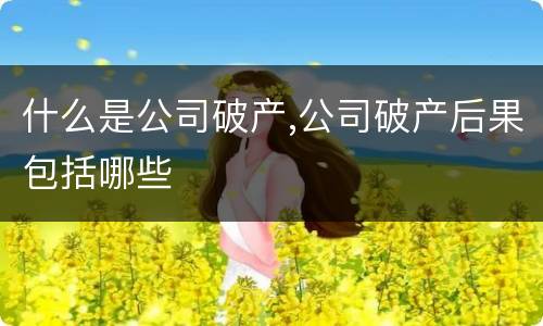 什么是公司破产,公司破产后果包括哪些
