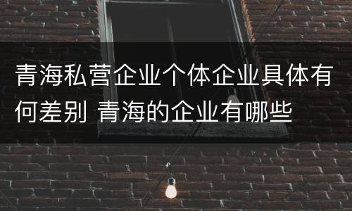 青海私营企业个体企业具体有何差别 青海的企业有哪些