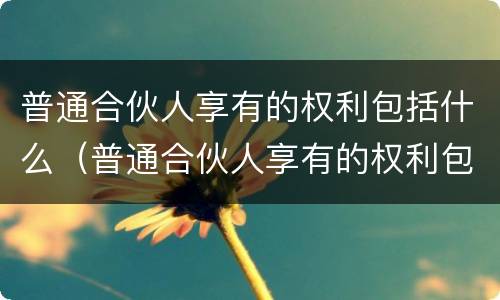 普通合伙人享有的权利包括什么（普通合伙人享有的权利包括什么内容）