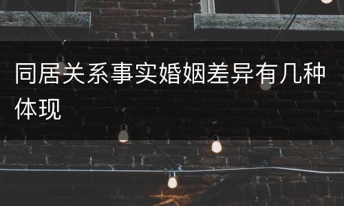 同居关系事实婚姻差异有几种体现