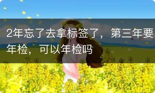 2年忘了去拿标签了，第三年要年检，可以年检吗