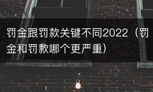 罚金跟罚款关键不同2022（罚金和罚款哪个更严重）