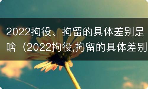 2022拘役、拘留的具体差别是啥（2022拘役,拘留的具体差别是啥呢）