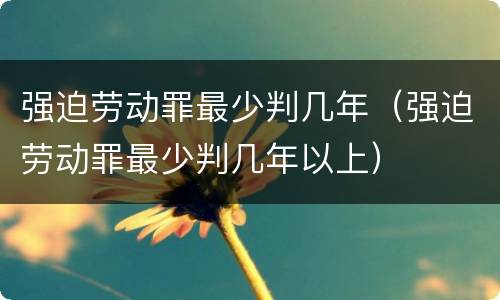 强迫劳动罪最少判几年（强迫劳动罪最少判几年以上）