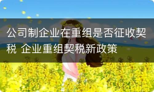 公司制企业在重组是否征收契税 企业重组契税新政策