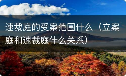 速裁庭的受案范围什么（立案庭和速裁庭什么关系）