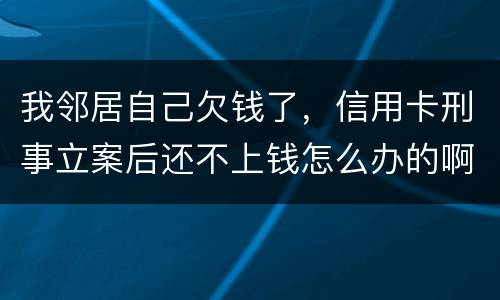 我邻居自己欠钱了，信用卡刑事立案后还不上钱怎么办的啊