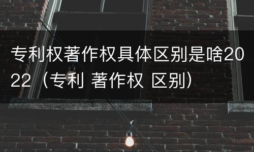 专利权著作权具体区别是啥2022（专利 著作权 区别）