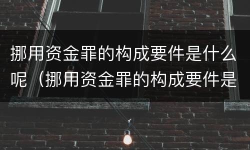 挪用资金罪的构成要件是什么呢（挪用资金罪的构成要件是什么呢怎么写）