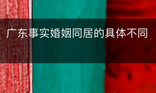 广东事实婚姻同居的具体不同