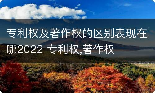 专利权及著作权的区别表现在哪2022 专利权,著作权