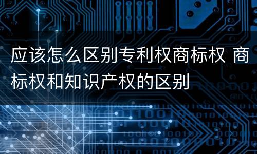 应该怎么区别专利权商标权 商标权和知识产权的区别