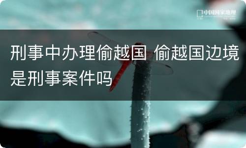 刑事中办理偷越国 偷越国边境是刑事案件吗