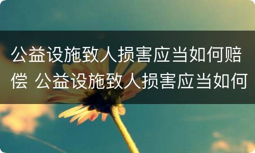 公益设施致人损害应当如何赔偿 公益设施致人损害应当如何赔偿呢