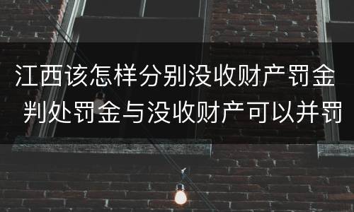 江西该怎样分别没收财产罚金 判处罚金与没收财产可以并罚吗