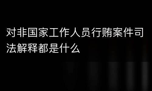 对非国家工作人员行贿案件司法解释都是什么