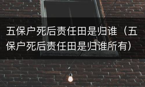 五保户死后责任田是归谁（五保户死后责任田是归谁所有）