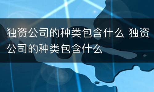 独资公司的种类包含什么 独资公司的种类包含什么
