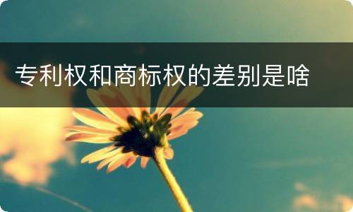 专利权和商标权的差别是啥