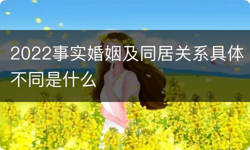 2022事实婚姻及同居关系具体不同是什么