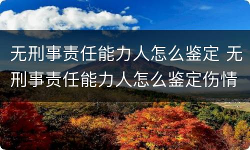 无刑事责任能力人怎么鉴定 无刑事责任能力人怎么鉴定伤情