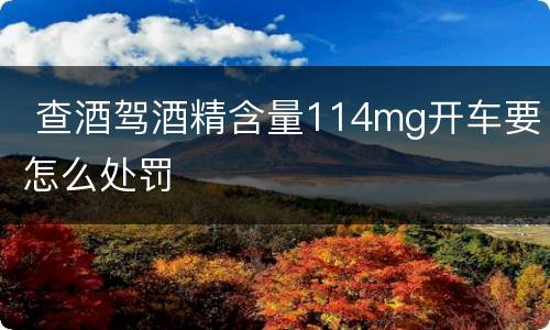  查酒驾酒精含量114mg开车要怎么处罚