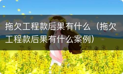 拖欠工程款后果有什么（拖欠工程款后果有什么案例）