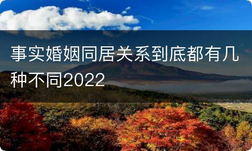 事实婚姻同居关系到底都有几种不同2022