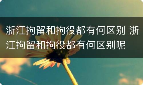 浙江拘留和拘役都有何区别 浙江拘留和拘役都有何区别呢