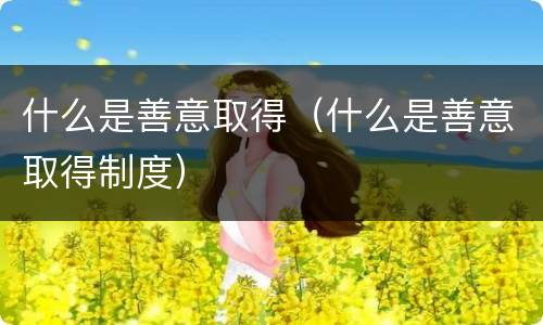 什么是善意取得（什么是善意取得制度）