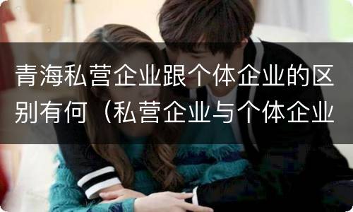 青海私营企业跟个体企业的区别有何（私营企业与个体企业的区别）