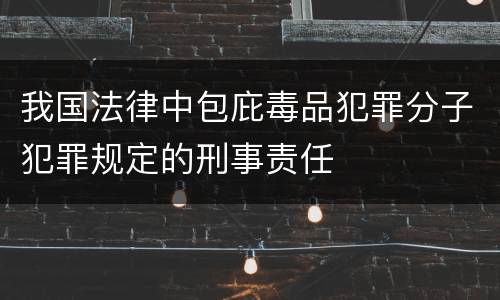 我国法律中包庇毒品犯罪分子犯罪规定的刑事责任