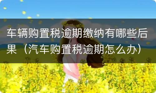 车辆购置税逾期缴纳有哪些后果（汽车购置税逾期怎么办）