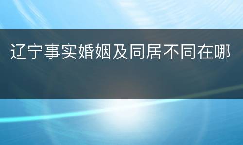 辽宁事实婚姻及同居不同在哪