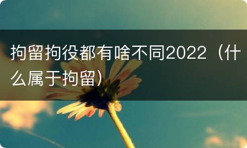拘留拘役都有啥不同2022（什么属于拘留）