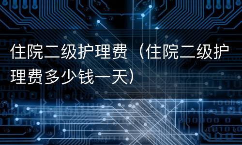 住院二级护理费（住院二级护理费多少钱一天）