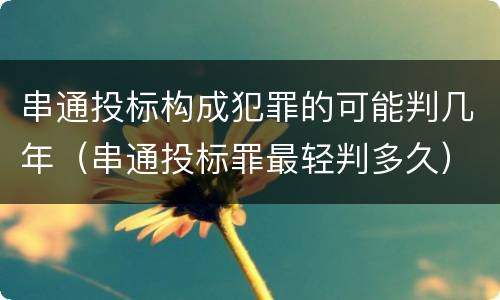 串通投标构成犯罪的可能判几年（串通投标罪最轻判多久）